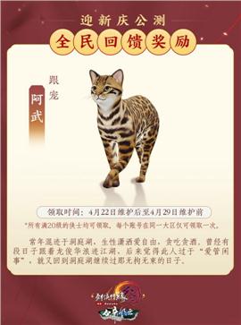 天威版本天龙八部私服